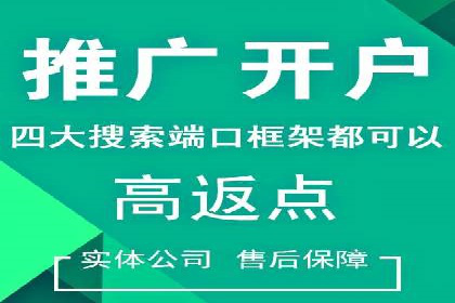 SEM推广技巧：实战案例教你快速提升流量